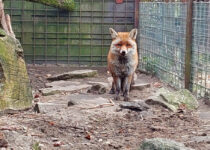 Ekotým v Pasíčkách