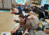 2026_manuální ošetření psů