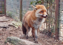 Ekotým v Pasíčkách