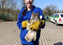 Ekotým v Pasíčkách