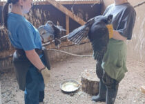 Ekotým v Pasíčkách