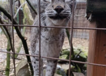 Ekotým v Pasíčkách