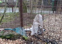 Ekotým v Pasíčkách