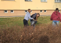 Ukliďme Lanškroun!