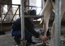 Kosmetická příprava