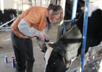 Kosmetická příprava