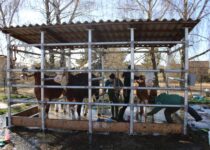 Kosmetická příprava