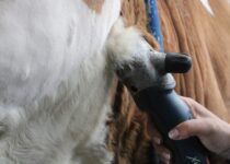 Kosmetická příprava