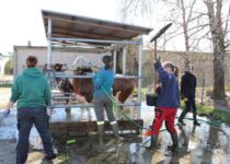 Kosmetická příprava