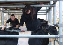 Kosmetická příprava