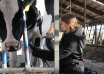 Kosmetická příprava