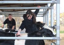 Kosmetická příprava