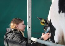 Kosmetická příprava