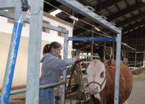 Kosmetická příprava