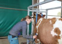 Kosmetická příprava