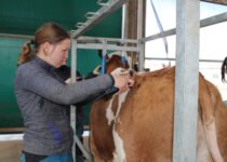 Kosmetická příprava