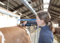 Kosmetická příprava